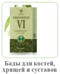 Биодобавки для костей, суставов, хрящей Сибирское Здоровье