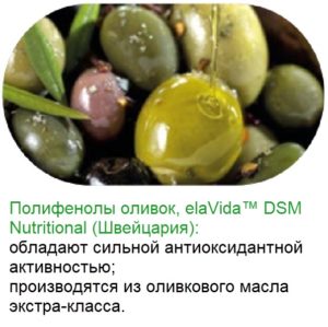 Olivci Bad Vitaminno Mineralnyj Kompleks Natural Vitamins Sibirskoe Zdorove