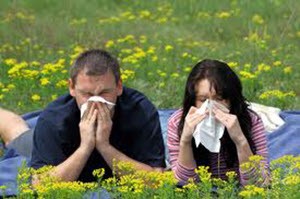 Transfer Faktor Otzyvy pri allergii