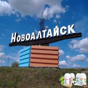 Vizion bady Vizhen v Novoaltajske