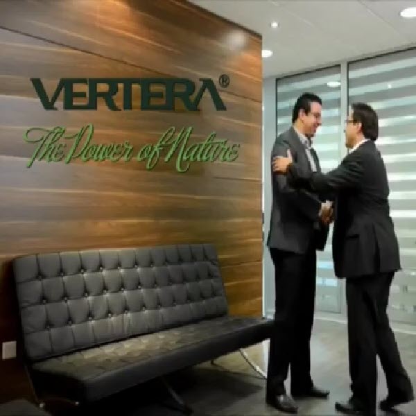 Predstavitelstva kompanii Vertera