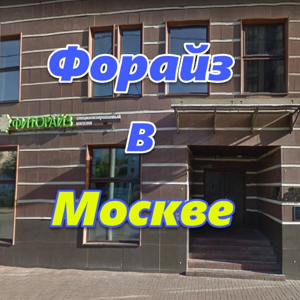 Predstavitelstvo Forajz Grup v Moskve