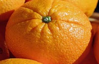 Gorkij apelsin dlya metabolizma